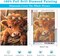 Highland Cow Diamond Painting Kits for Adults – Full Drill 5D DIY Diamond Art for Beginners, Cow Gem Art Craft for Home Wall Decor, 12x16 Inch